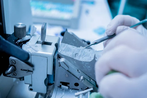 Asistente de laboratorio trabaja en una sección de microtoma rotatorio y haciendo diapositivas de microscopio —  Fotos de Stock