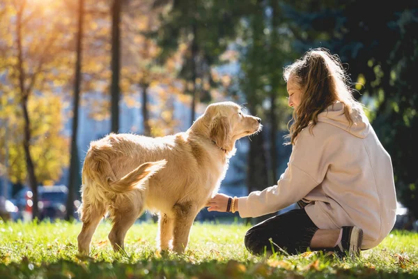 Ägaren spelar golden retriever hund i parken. — Stockfoto