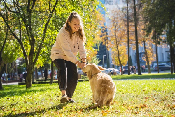 Ägaren spelar golden retriever hund i parken. — Stockfoto