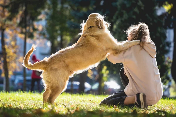 Sahibi parkta golden retriever köpeği oynuyor..