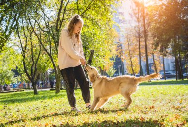 Sahibi parkta golden retriever köpeği oynuyor..