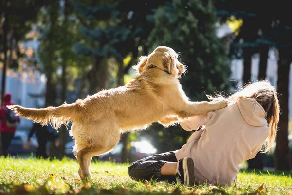 De eigenaar speelt de golden retriever hond in het park. — Stockfoto