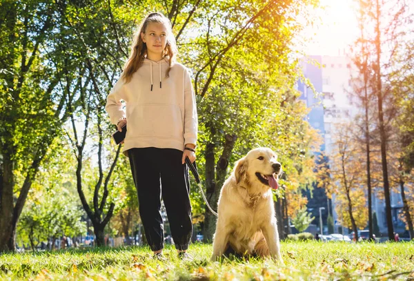 Il proprietario interpreta il cane golden retriever nel parco. — Foto Stock