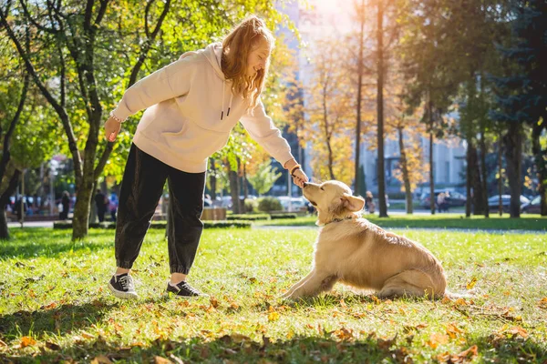 Ο ιδιοκτήτης παίζει το σκυλί golden retriever στο πάρκο. — Φωτογραφία Αρχείου