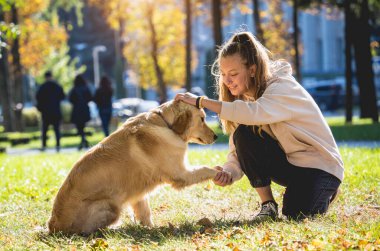 Sahibi parkta golden retriever köpeği oynuyor..