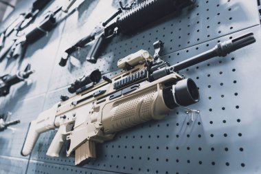 Duvarda tüfek ve tüfek koleksiyonu var.