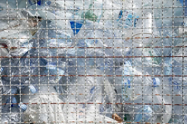 Відходи пластикові пляшки в сміттєвому баку — стокове фото