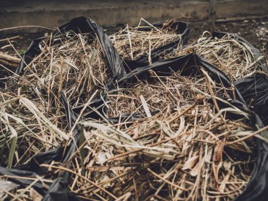 Çöp poşetindeki yaprakları çöpe at.