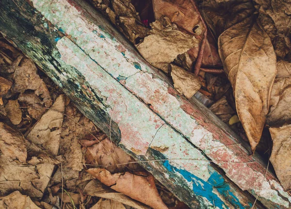 La texture des feuilles sèches brun automne sur le sol — Photo