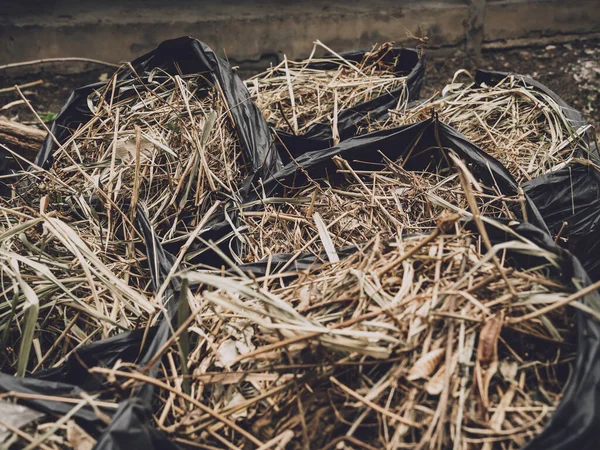 Çöp poşetindeki yaprakları çöpe at.