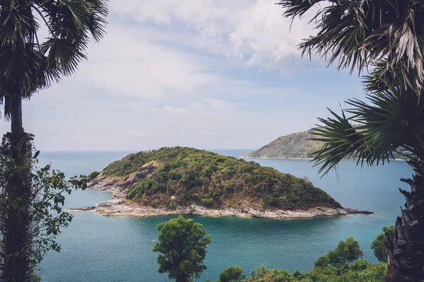 Okyanusta palmiye ağaçları olan güzel dağlar