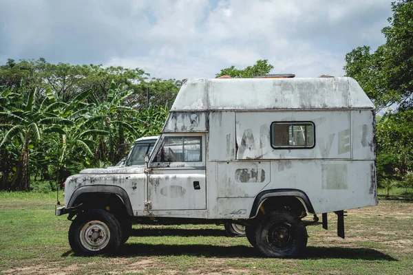Afrika ormanlarında safari için eski paslı arabalar.