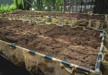 Sebze kutuları ve kafenin organik bahçesinde toprak.