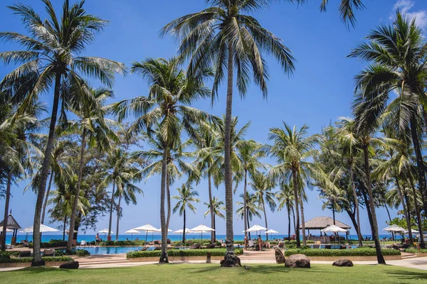 Yüzme havuzları ve hindistan cevizi palmiyeleri olan inanılmaz tropikal cennet plajı.