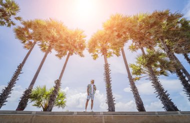 Yaz tatilinde arka planda güzel palmiyeler ve deniz manzaraları olan genç bir gezgin.