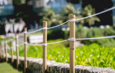 Yaz bahçesinin lüks peyzaj tasarımı