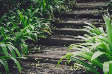 Bahçedeki eski kırsal ahşap merdivenler