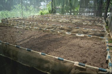 Sebze kutuları ve kafenin organik bahçesinde toprak.