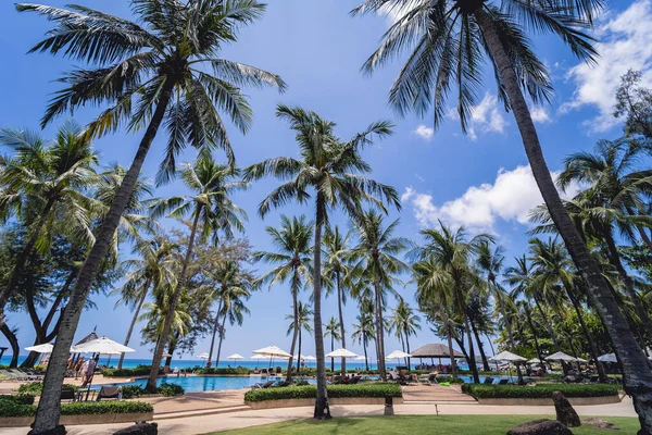 Espantosa praia paradisíaca tropical com piscinas e coqueiros — Fotografia de Stock