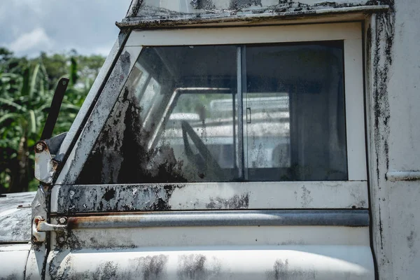 Afrika ormanlarında safari için eski paslı arabalar.