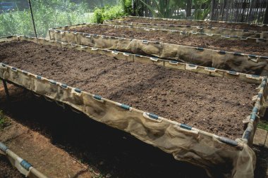 Sebze kutuları ve kafenin organik bahçesinde toprak.