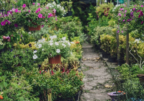 Yaz bahçesinin lüks peyzaj tasarımı