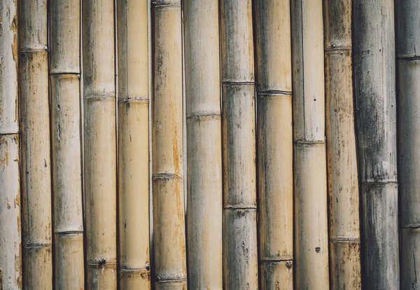 Bakgrund och struktur bambuvägg eller staket — Stockfoto
