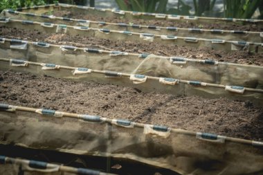 Sebze kutuları ve kafenin organik bahçesinde toprak.