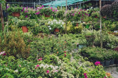 Yaz bahçesinin lüks peyzaj tasarımı