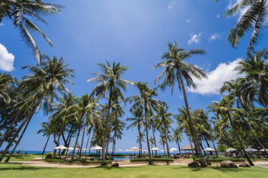 Amazing tropical paradise beach with swimming pools and coconut palms