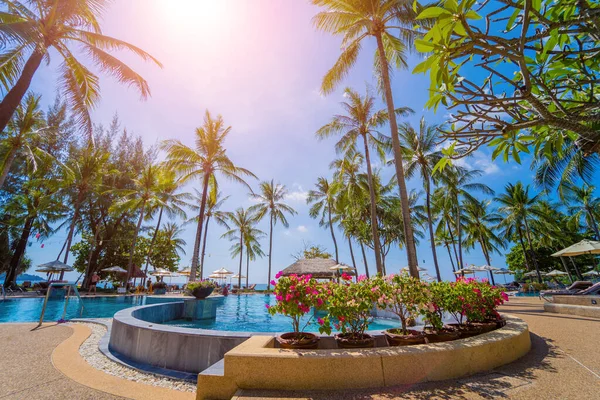 Amazing tropical paradise beach with swimming pools and coconut palms — ストック写真