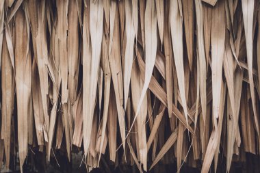 Bambu duvarının veya çitin arka planı ve dokusu