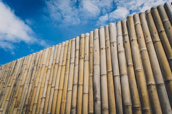 Background and texture of bamboo wall or fence — Foto Stock