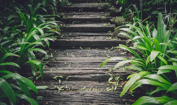 Old rustic wooden stairs in the garden — Stock Photo, Image