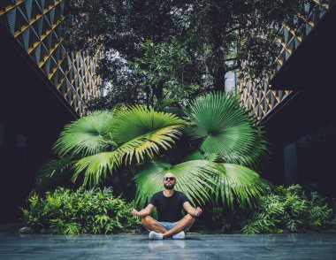 Genç adam ormanda güzel yeşil yapraklarla yoga yapıyor..