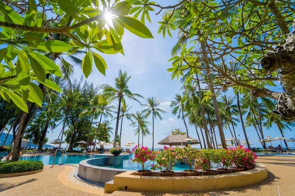 Superbe Plage Paradisiaque Tropicale Avec Piscines Cocotiers — Photo