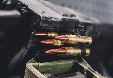 Duvarda tüfek ve tüfek koleksiyonu var..