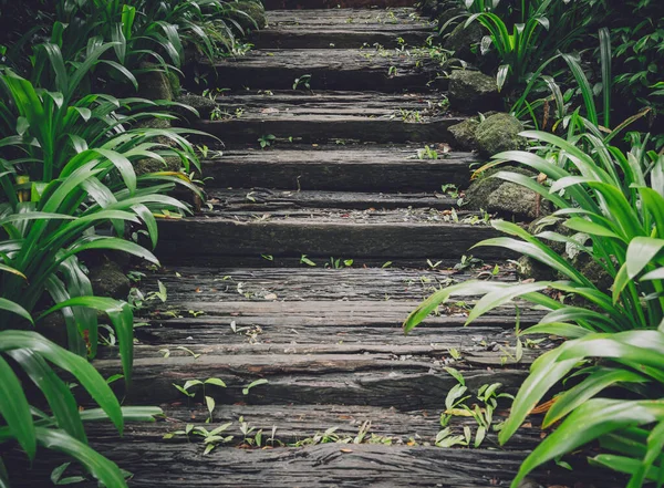 Bahçedeki eski kırsal ahşap merdivenler.