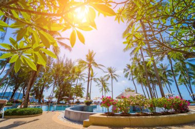 Yüzme havuzları ve hindistan cevizi palmiyeleri olan inanılmaz tropikal cennet plajı..