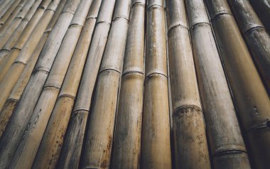 Bambu duvarının veya çitin arka planı ve dokusu.