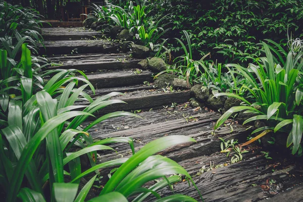 花园里古老的土木楼梯 — 图库照片