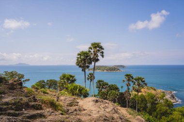 Okyanusta palmiye ağaçları olan güzel dağlar.