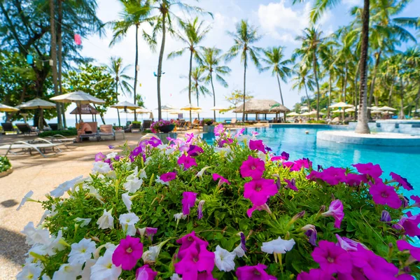 Amazing Tropical Paradise Beach Swimming Pools Coconut Palms — ストック写真