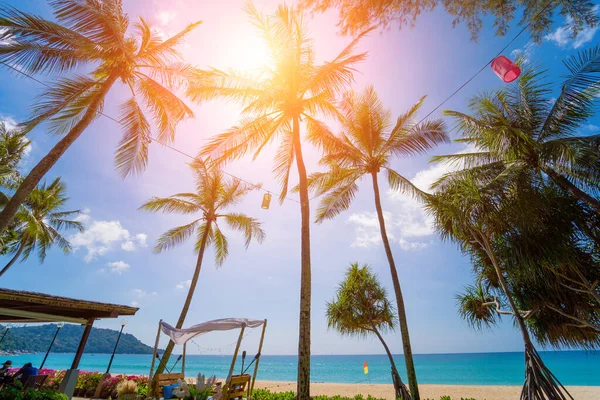 Csodálatos Trópusi Paradicsom Strand Medencékkel Kókuszpálmákkal — Stock Fotó