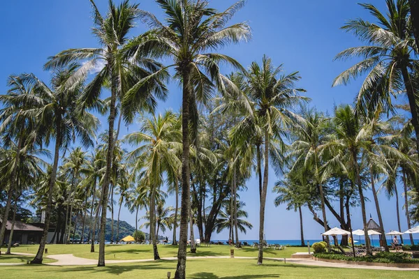 Traumhafter Tropischer Paradiesstrand Mit Schwimmbädern Und Kokospalmen — Stockfoto