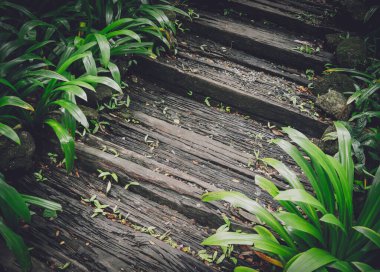 Bahçedeki eski kırsal ahşap merdivenler.