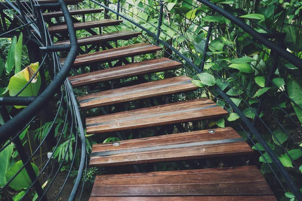 Old Rustic Wooden Stairs Garden — Stock Photo, Image