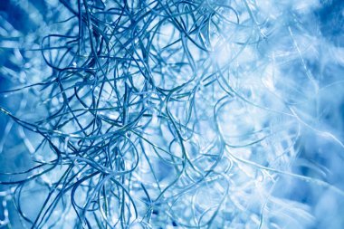 Köke benzeyen doğal süngerin makro arka planı.