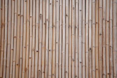 Bambu duvarının veya çitin arka planı ve dokusu.