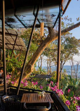 Yaz bahçesinin lüks peyzaj tasarımı.